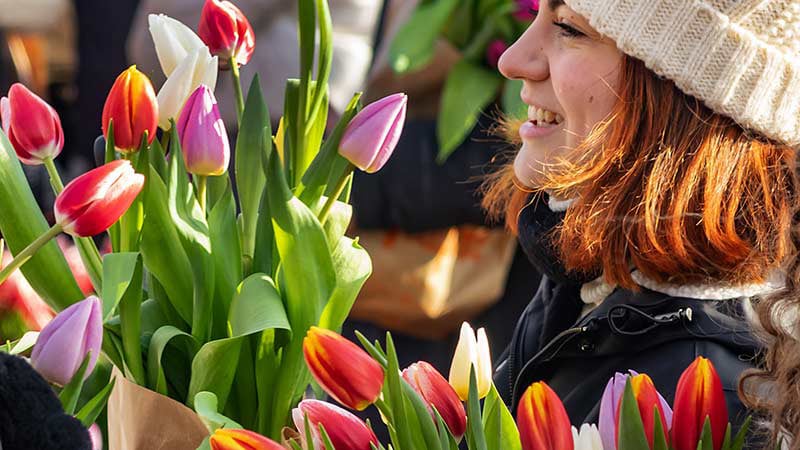 Amsterdam Holidays Tulip Day
