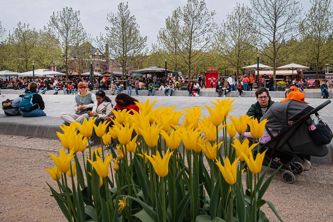Amsterdam King day 2026.