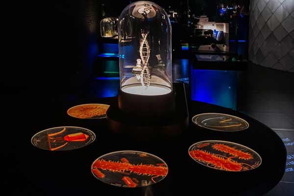 Amsterdam Micropia museum - world of microorganisms visible
