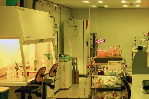 Amsterdam Micropia museum - world of microorganisms visible