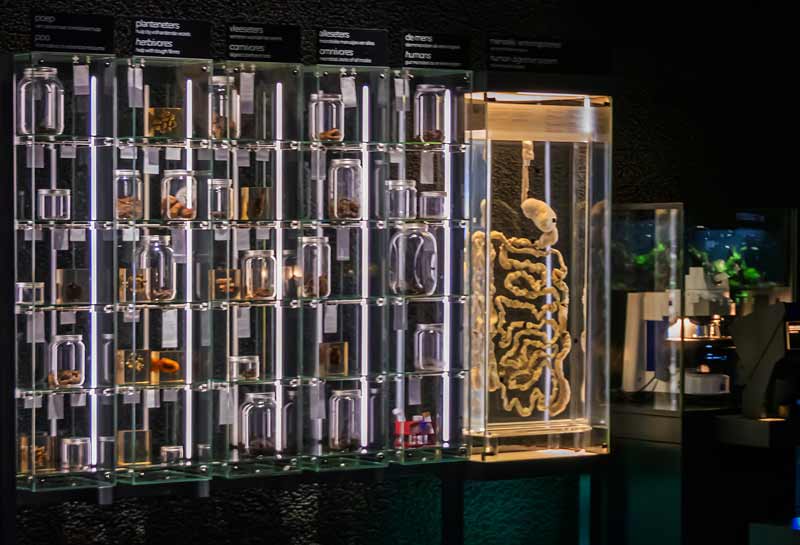 Amsterdam Micropia museum - world of microorganisms visible