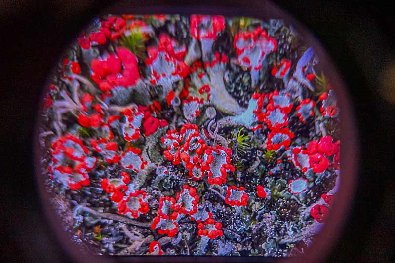 Amsterdam Micropia museum - world of microorganisms visible