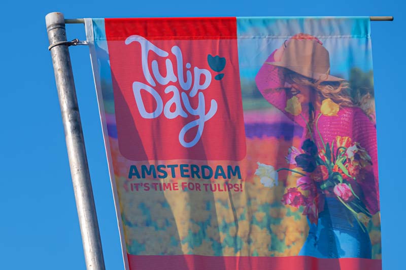 Amsterdam, Netherland. National Tulip Day.