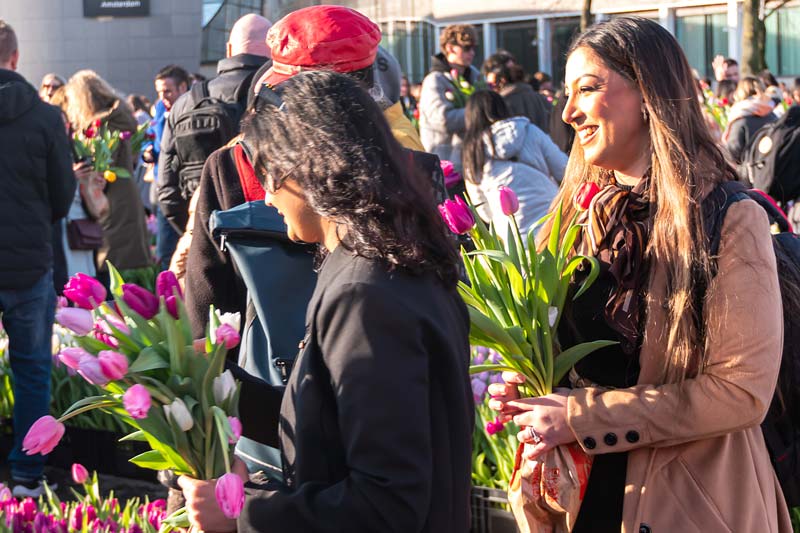 Amsterdam, Netherland. National Tulip Day.