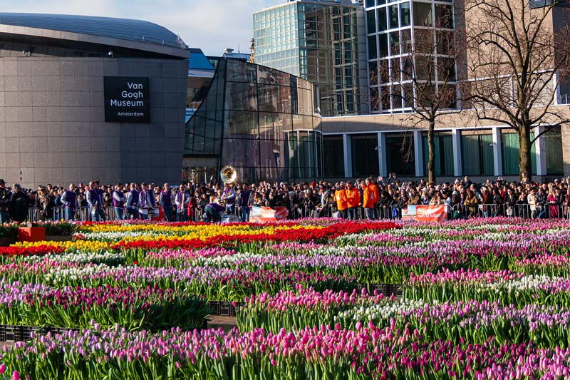 Amsterdam, Netherland. National Tulip Day.