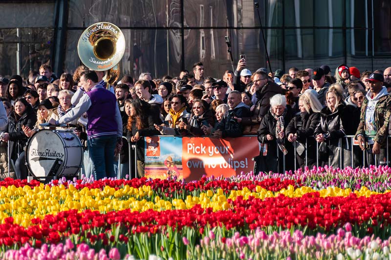Amsterdam, Netherland. National Tulip Day.