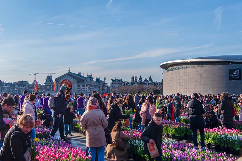 Amsterdam, Netherland. National Tulip Day.