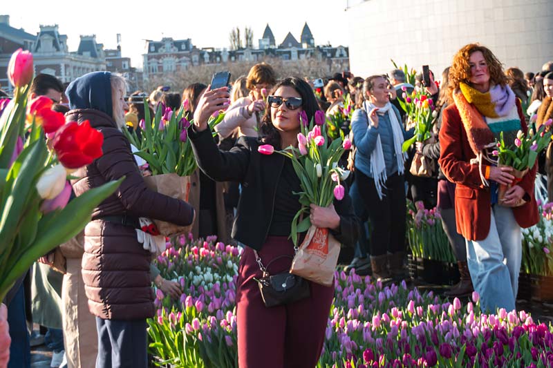 Amsterdam, Netherland. National Tulip Day.