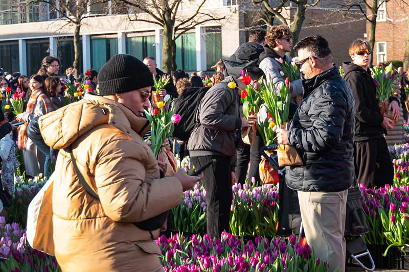 Amsterdam, Netherland. National Tulip Day.