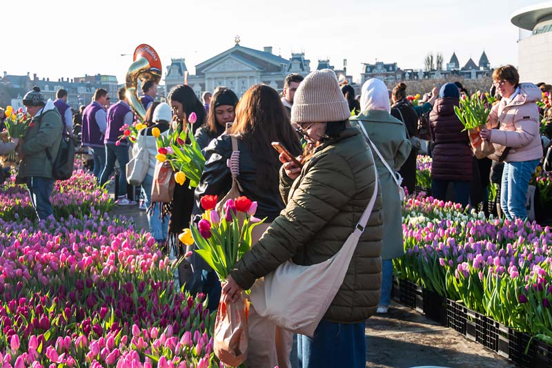 Amsterdam, Netherland. National Tulip Day.