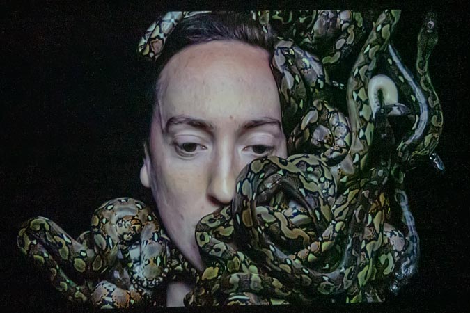 Amsterdam. Rijksmuseum. Metamorphoses.