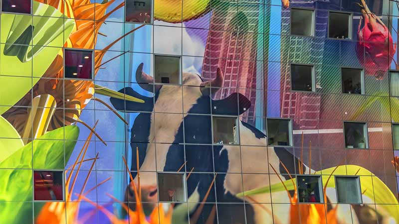 Netherlands Rotterdam Markthal
